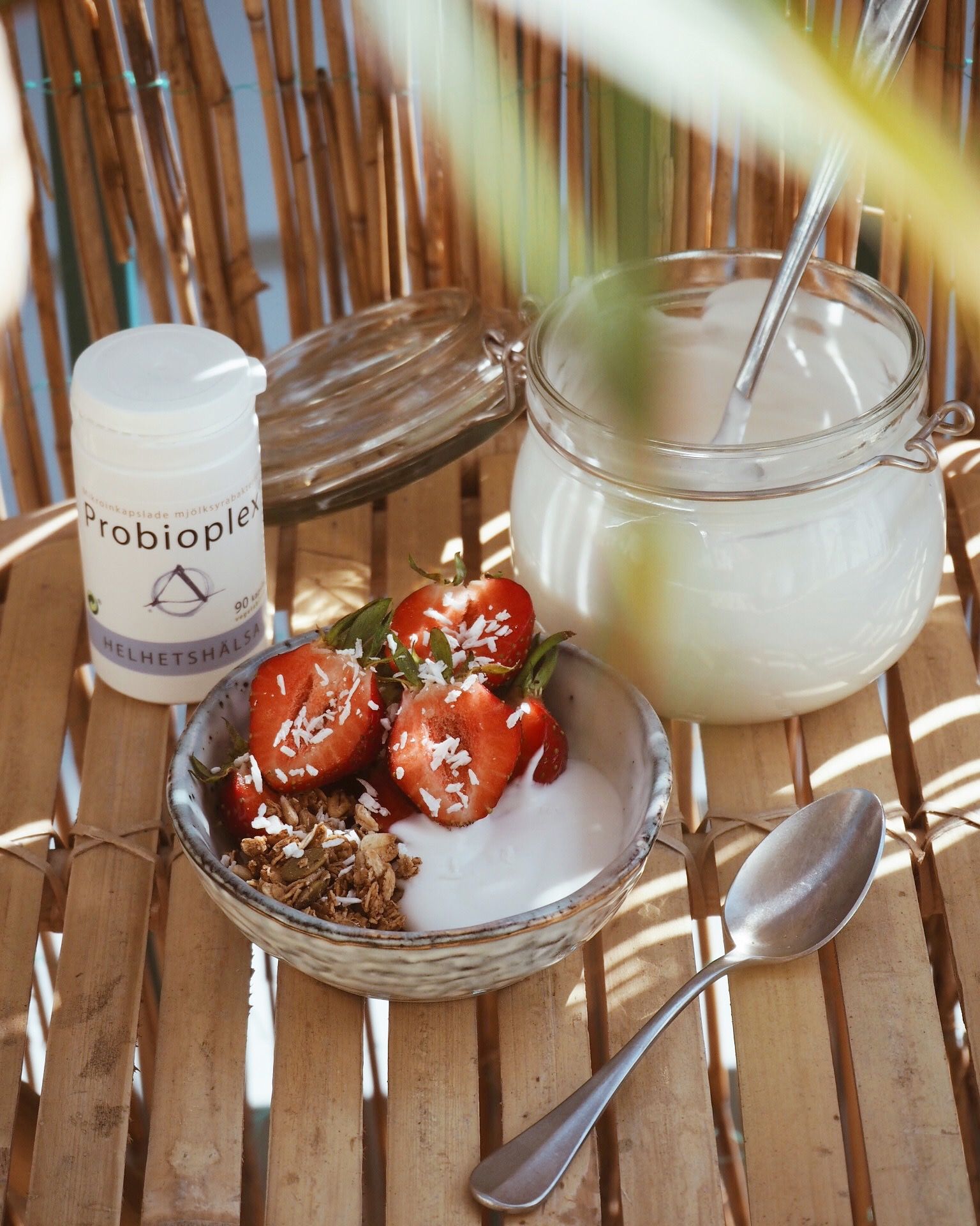 Kokosyoghurt, Hemmagjord vegansk yoghurt med probioplex